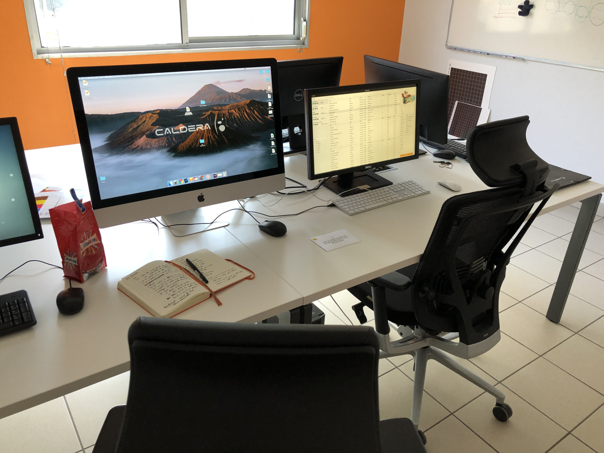 User testing